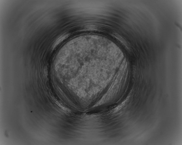 X0000096950826200802291054