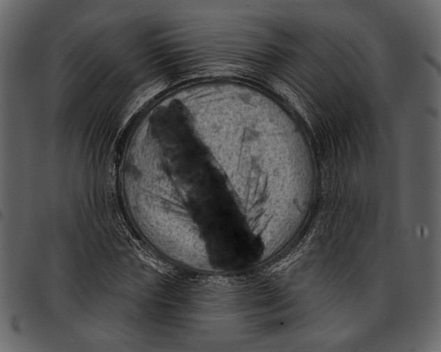 X0000096950827200802291054