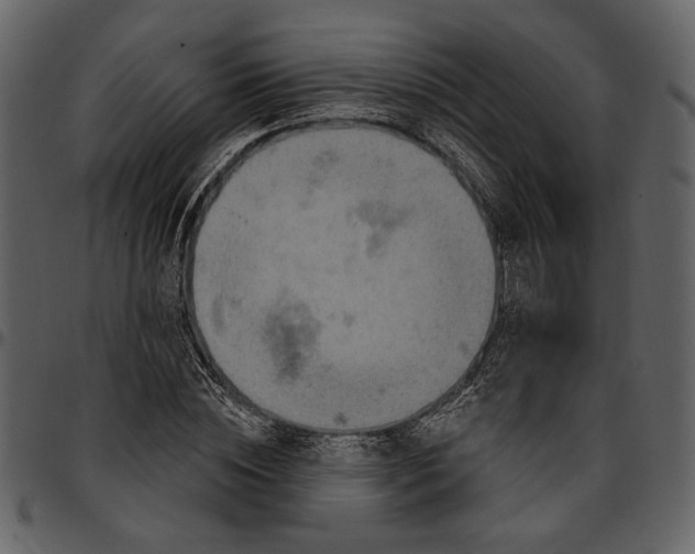 X0000096950828200802291054