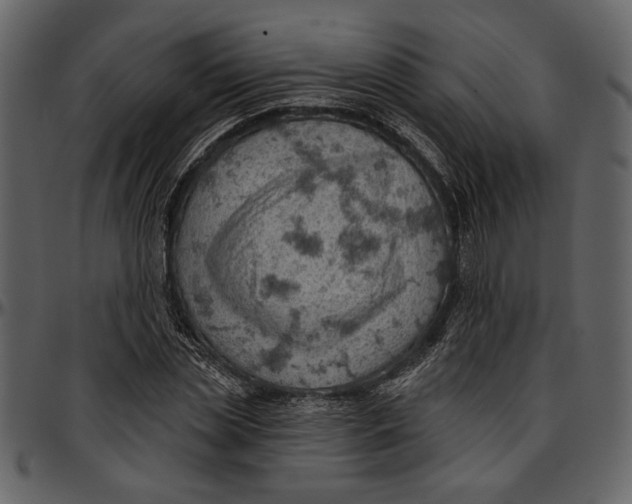 X0000096950829200802291054