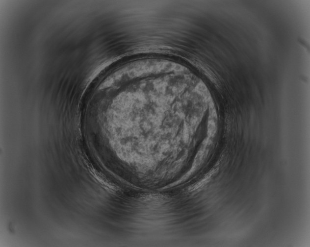 X0000096950830200802291054