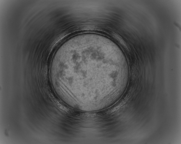 X0000096950831200802291054