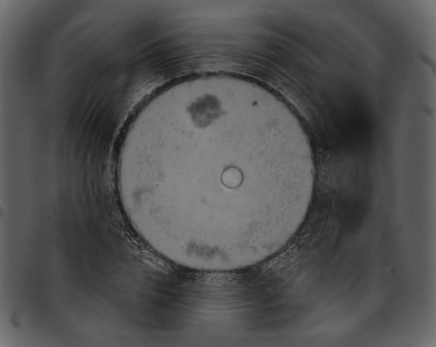 X0000096950832200802291054