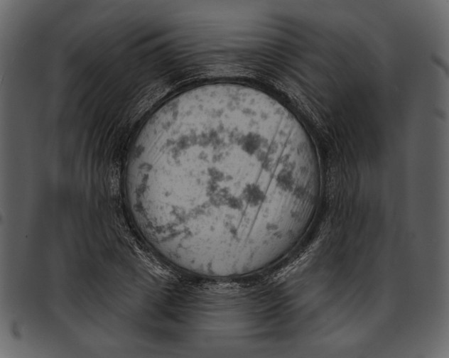 X0000096950833200802291054