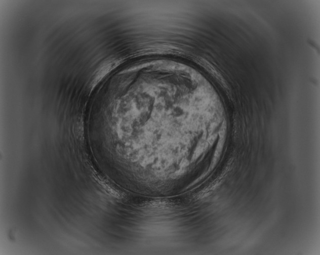 X0000096950834200802291054