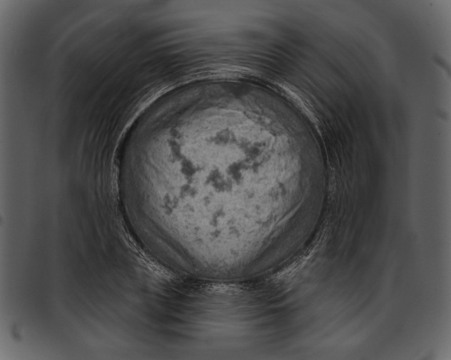 X0000096950835200802291054