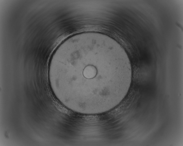 X0000096950836200802291054