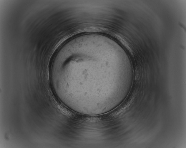 X0000096950837200802291054