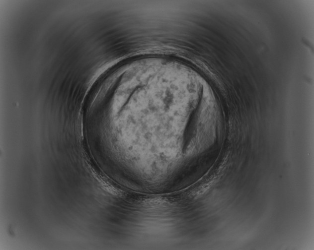 X0000096950838200802291054