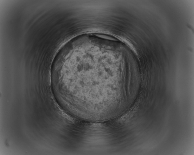 X0000096950839200802291054