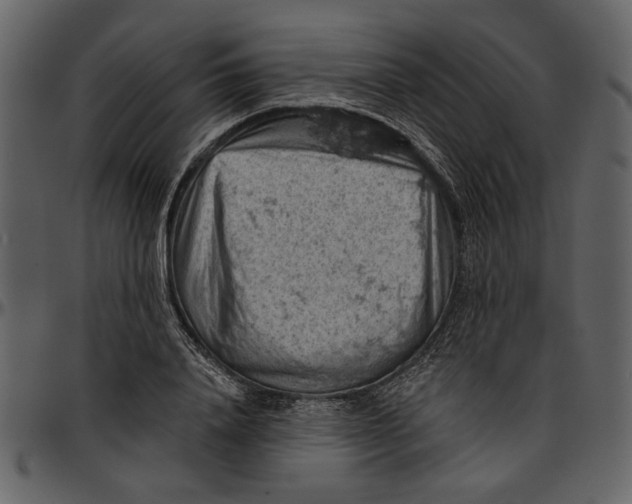 X0000096950840200802291054