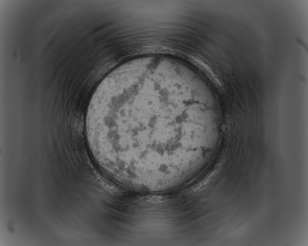 X0000096950841200802291054