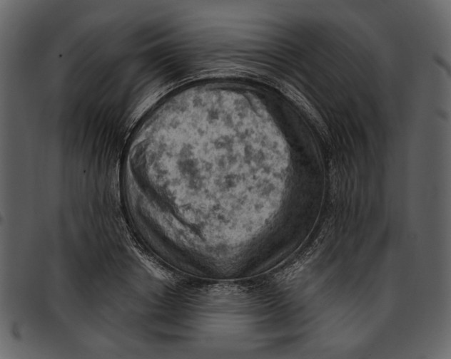 X0000096950842200802291054