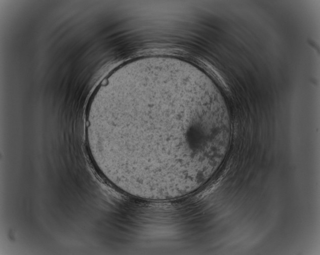 X0000096950844200802291054