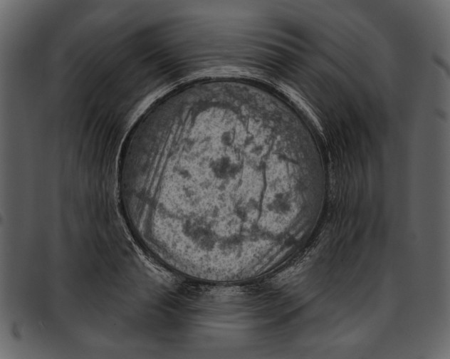 X0000096950845200802291054