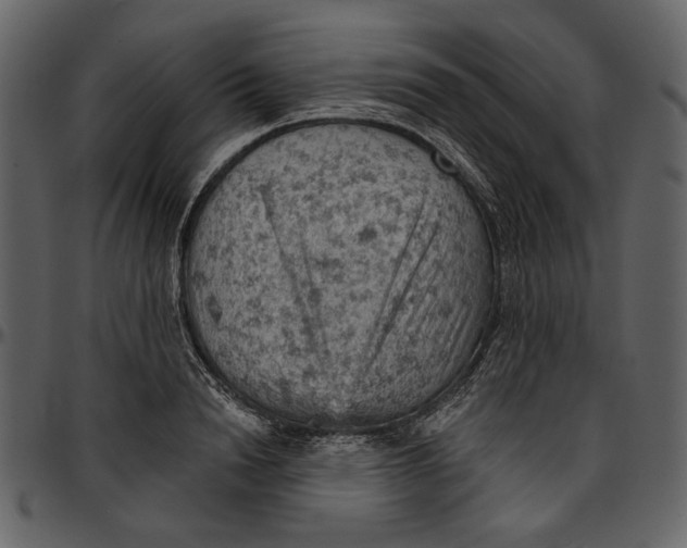 X0000096950846200802291054