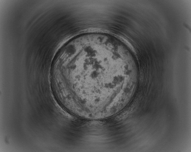 X0000096950847200802291054