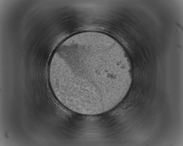 X0000096950848200802291054