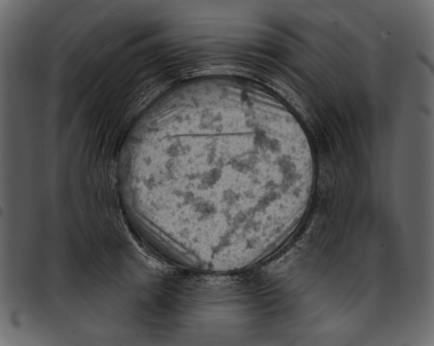 X0000096950849200802291054