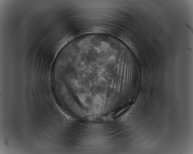 X0000096950850200802291054