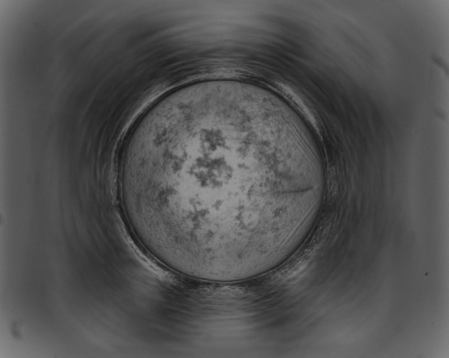 X0000096950851200802291054