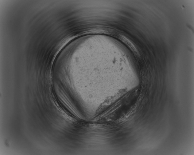 X0000096950852200802291054