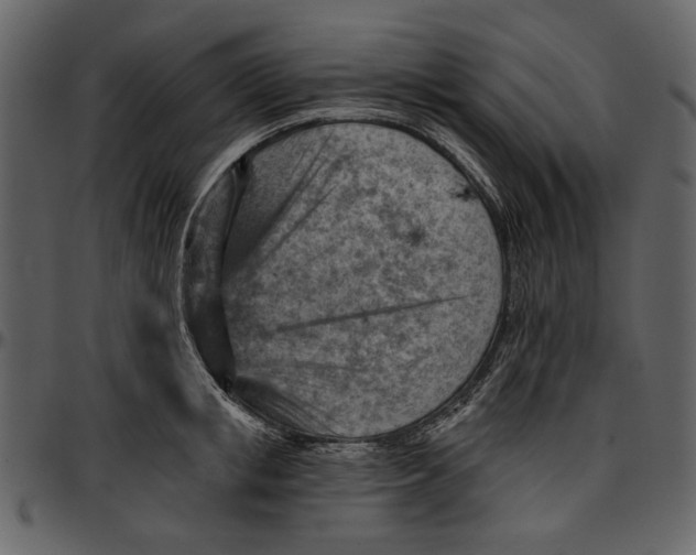 X0000096950853200802291054