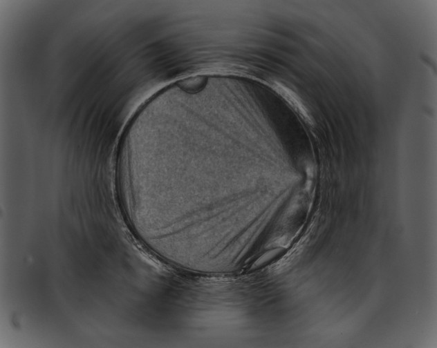 X0000096950854200802291054