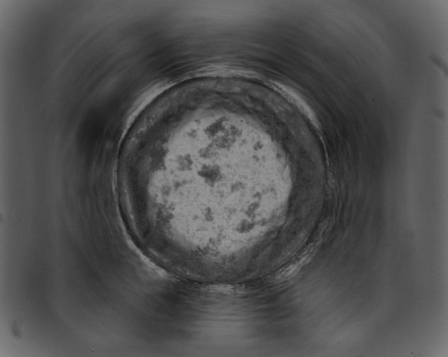 X0000096950855200802291054