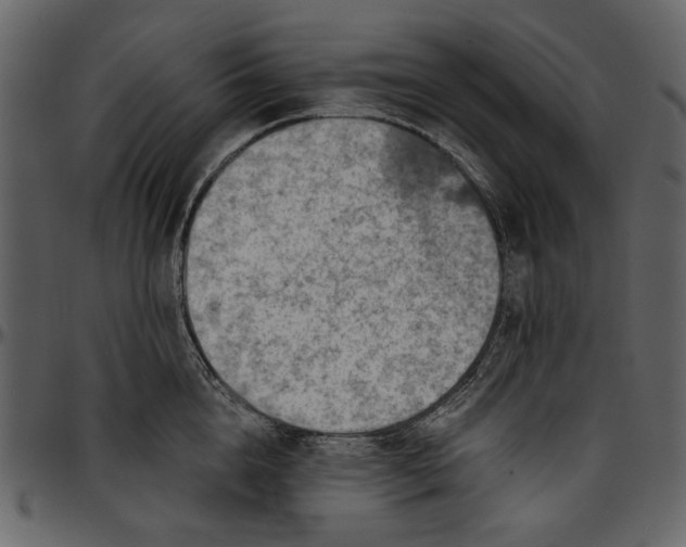 X0000096950856200802291054