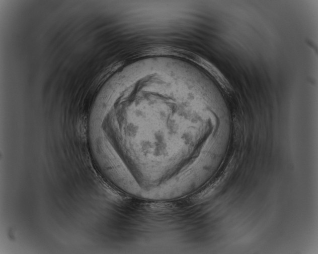 X0000096950857200802291054