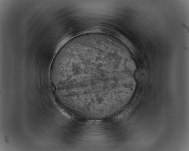 X0000096950858200802291054