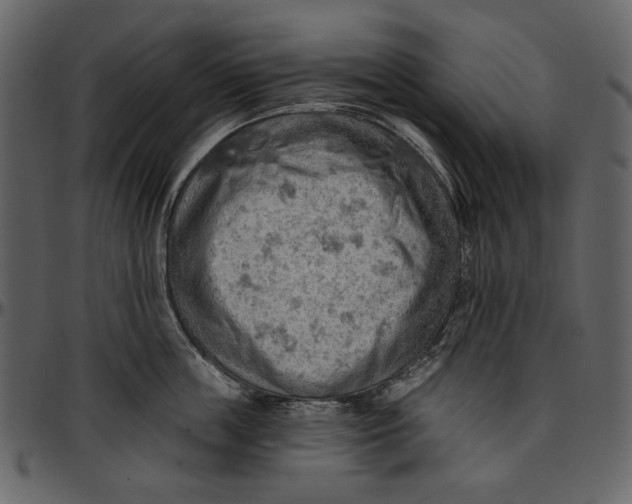 X0000096950859200802291055