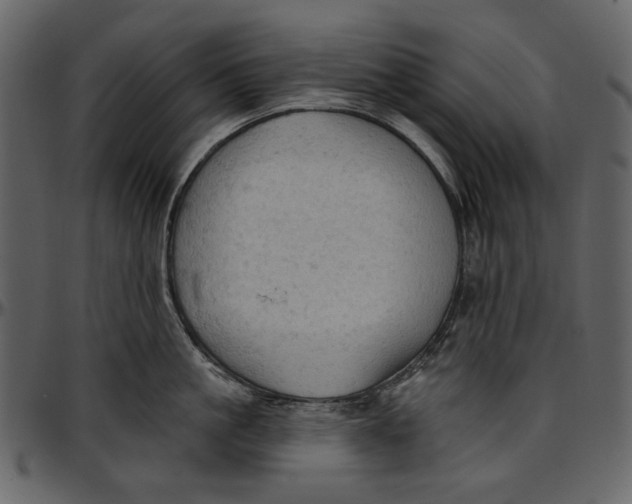 X0000096950861200802291055