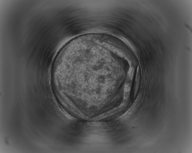 X0000096950862200802291055