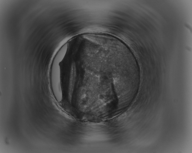 X0000096950864200802291055