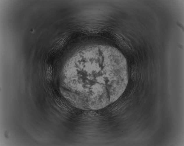 X0000096950866200802291054