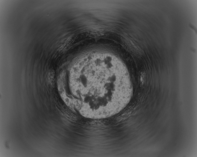 X0000096950867200802291053