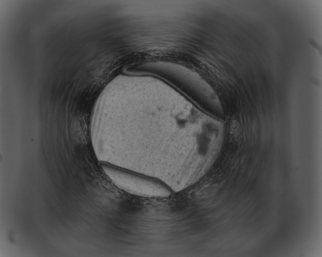 X0000096950868200802291053