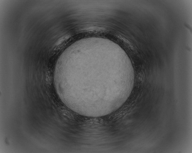 X0000096950869200802291053