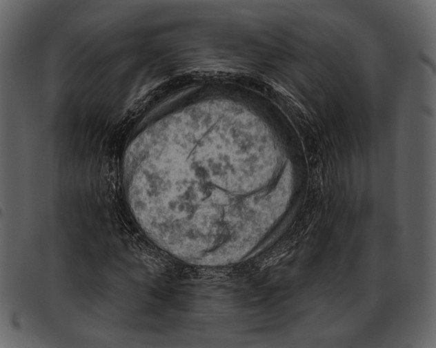 X0000096950870200802291053