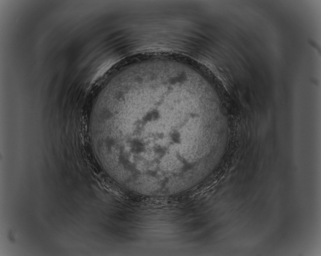 X0000096950871200802291053