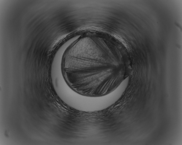 X0000096950872200802291053