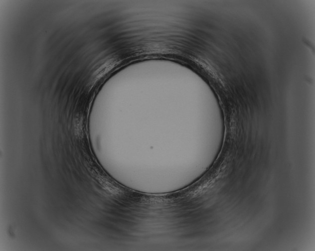 X0000096950873200802291053