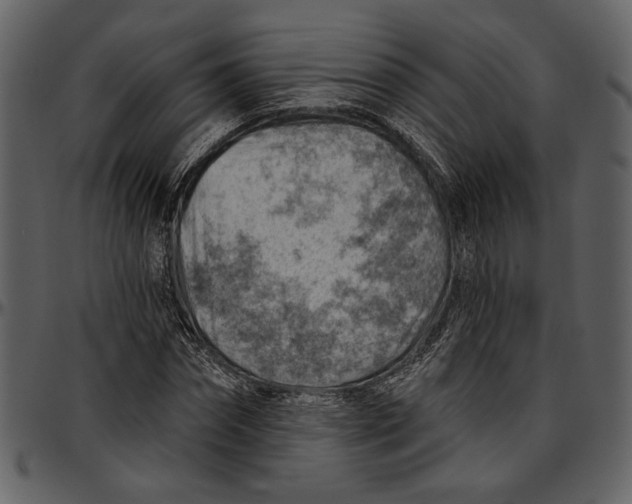 X0000096950874200802291053