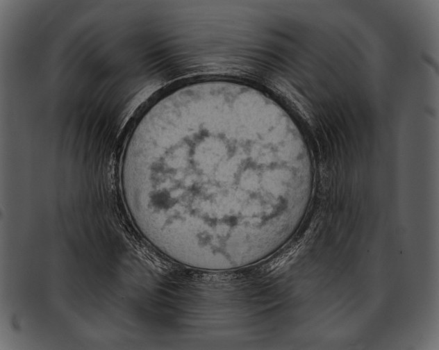 X0000096950875200802291053