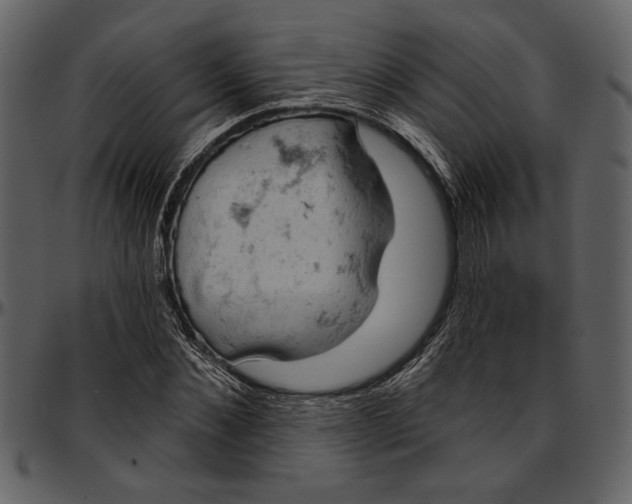 X0000096950876200802291053