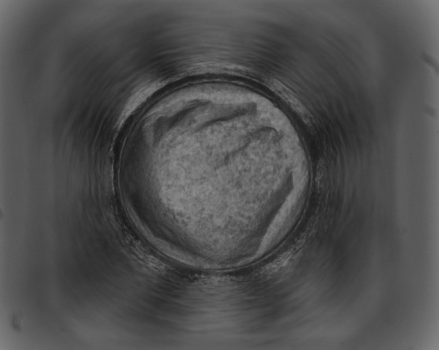 X0000096950877200802291053