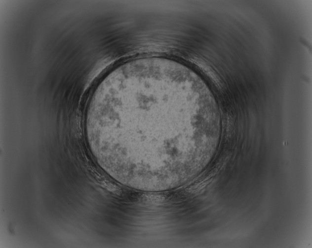 X0000096950878200802291053