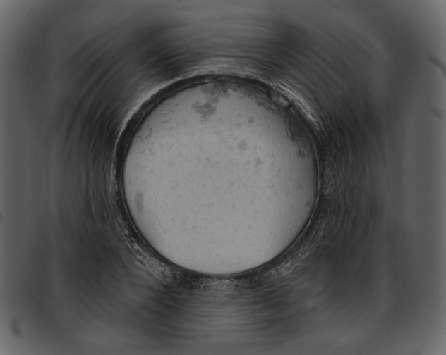 X0000096950880200802291053